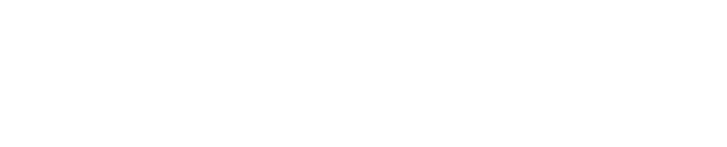 the website flip logo