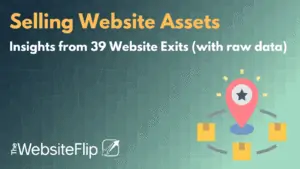 insights from selling website assets