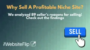 Why Sell A Profitable Niche Site