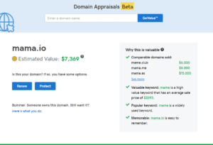 Domain Name Appraisal 300x204 1