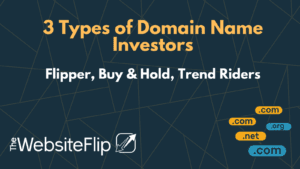 Types of Domain Name Investors