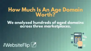 How Much Is An Age Domain Worth