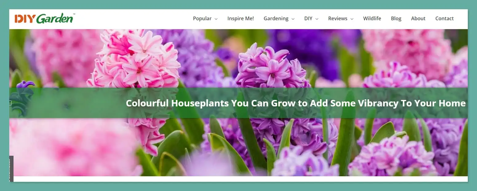 DIY Garden 100s Of Garden Ideas Guides Product Reviews