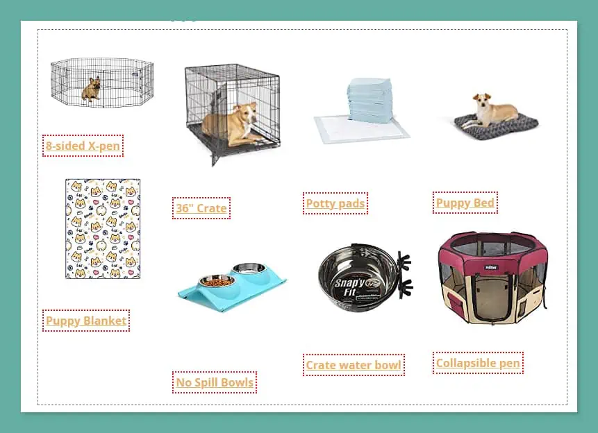 Must Haves For New Shiba Inu Puppy Owners My First Shiba Inu