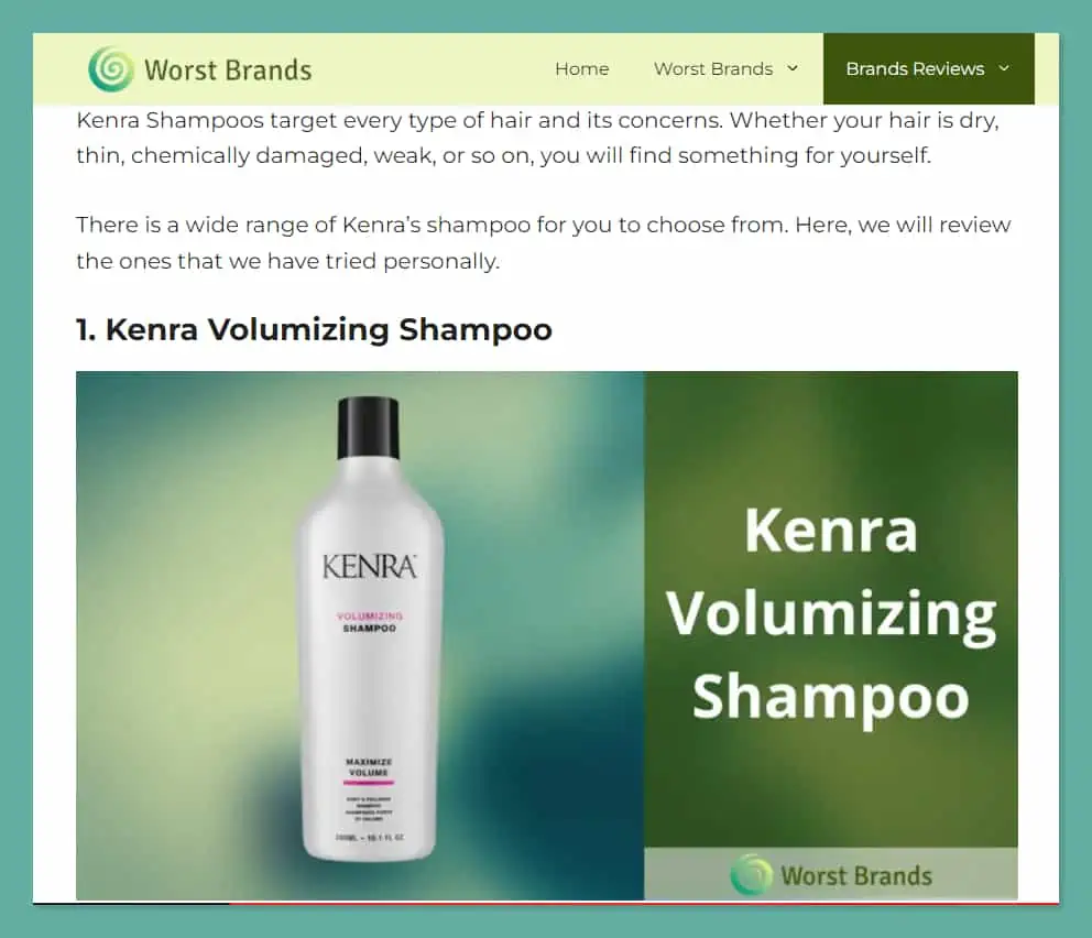 Kenra Shampoo Review 2023 Customers Feedback Worst Brands