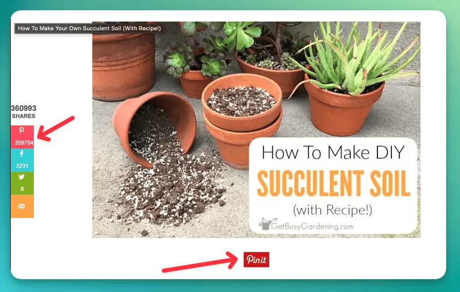 diy succulent soil pin